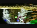 IMG_0002.MOV