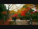 上原敏+結城道子『裏町人生』台湾語版09…蔡幸娟「后街人生」