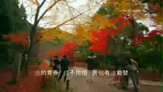 上原敏+結城道子『裏町人生』台湾語版09…蔡幸娟「后街人生」