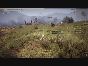 黒い砂漠　レンジャー　LV25 狩り　ハイデル地区～レッドオーク