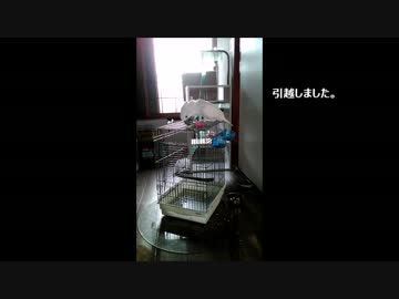 ガーンガーンガーン