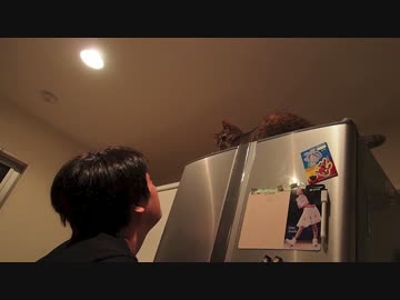 パパとも戯れてくれるラムちゃん