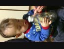 IMG_0750.mp4