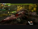 【MH4G】ブロッコリーハンターと没個性ハンター　part22