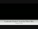 Ladende Fackel (Lost In Tibet Mix)/Sanguis et Cinis