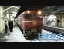 Take The 'Japan Sea' Line Part2「はまなすに乗ってみた。」