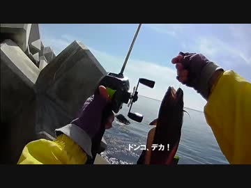 【テトラの穴釣り】ほぼドンコ、ときどきアイナメ【探り釣り】
