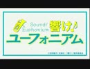 響け！ユーフォニアムそれが青春