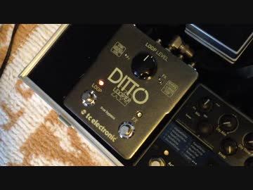 【エフェクター】TC Electronic Ditto X2 Looper【鳴らしてみた】