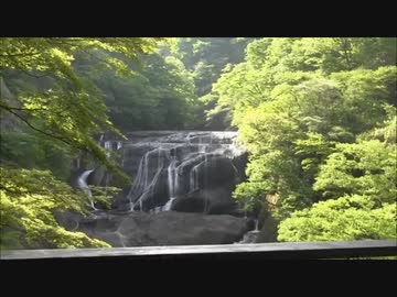 【大人のままごと】滝裏ティータイム