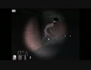【恐怖の森】ビビらずの誓いを立てたダメンズが究極攻略の3【二人実況】