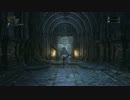 出来る限り頑張るBloodborneレベル4 呪われたトゥメルの冒涜 旧主の番人戦