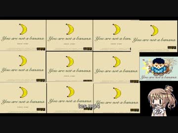 Steamであそびましょう　You Are Not A Banana　レース