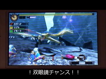 【MH4G】消えた眠り生肉.wmv