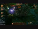 【Divinity: Original Sin】二人でまったり大冒険！プレイ動画その89