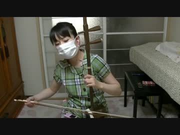 【ジョジョ第２部】BLOODY STREAM　二胡で弾いてみた