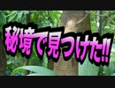 秘境でみつけたヤラズゴワイはUMA登録なるか？【わらしべTV #13-2】