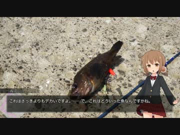 楢崎留美のルミナスダイアリーシリーズ 第218週-2
