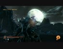 【実況】死にゲー⁉ロードオブザフォールンに挑戦【part28】