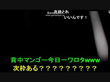 ノエル　有楽町で警察に保護される