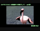【AFRIKA】Ａ評価縛りで字幕プレイ！ part20