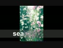 【nijiniji】嵐 season  女子が歌ってみた【音質向上ver.】