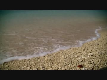 【ニコラップ】君と波音【ノベル】