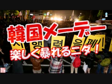 【韓国メーデー】 楽しく暴れるニダ！