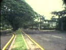 Curly Giraffe [My Dear Friend] music video