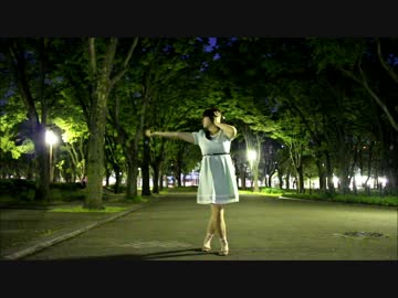 【春猫】ハイドアンド・シーク【踊ってみた】