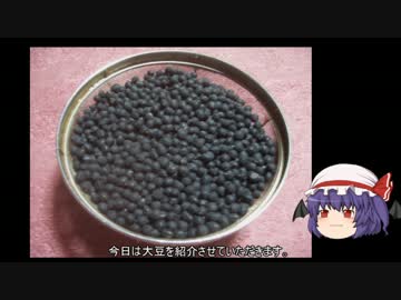 ゆっくり農民06大豆を育ててみませんか？