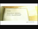 【実況】ニーアゲシュタルト【一人のために全てを滅ぼせ】part3