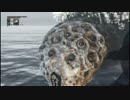 【Bloodborne】生まれるべきではなかったけれど！【第40夜】