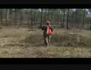 Great Southern Outdoors- Alabama Quail Hunt with Bob Redfern's Outdoor Magazine.mp4