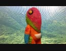せめラジ！ 第72回 アーカイブ音声配信