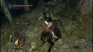 【実況】ＤＡＲＫ　ＳＯＵＬＳⅡ解説実況プレイ第２０回【でもヘタレ】