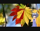 【ゆっくり怪談朗読】 怖い話をしよう その88
