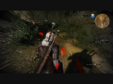 The Witcher 3 : Wild Hunt　「グリフィンの手がかりを探す」