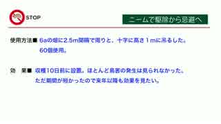 置くだけでヒヨドリ・ムクドリを寄せ付けない「ねずみさんバイバイ」