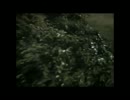闇にとける獣「呪霊映像　放送できない投稿動画3」