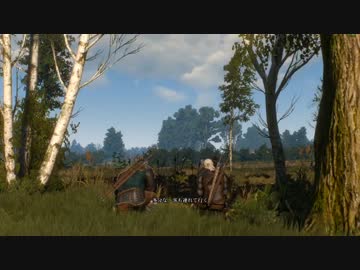 The Witcher 3 : Wild Hunt　「グリフィンを倒す」