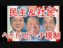 【韓国民の生活が第一！】民主&社民 ヘイトスピーチ規制法案提出