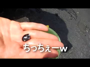 クルマで釣りに行こう♪　part 28 【潮干狩り】