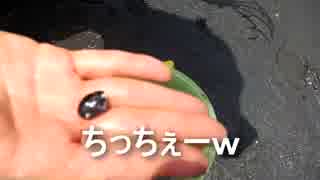 クルマで釣りに行こう♪　part 28 【潮干狩り】