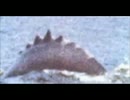 【uma】 未確認生物 映像　見てはいけない衝撃映像