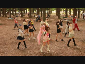 【代々木】PiNK CAT【ハレオフ】