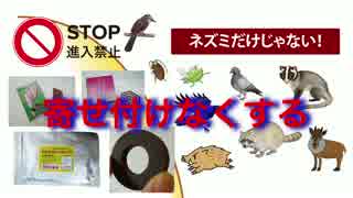 置くだけでネズミ・ゴキブリを寄せ付けない「ねずみさんバイバイ」設置