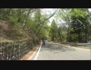 バイクでいろは坂を走っただけの動画