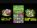 [パズドラ] ジタンループを木の猫龍で検証してみた(Sランク）