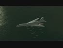 [DCS World] B-1B ×100 [1080 60p]